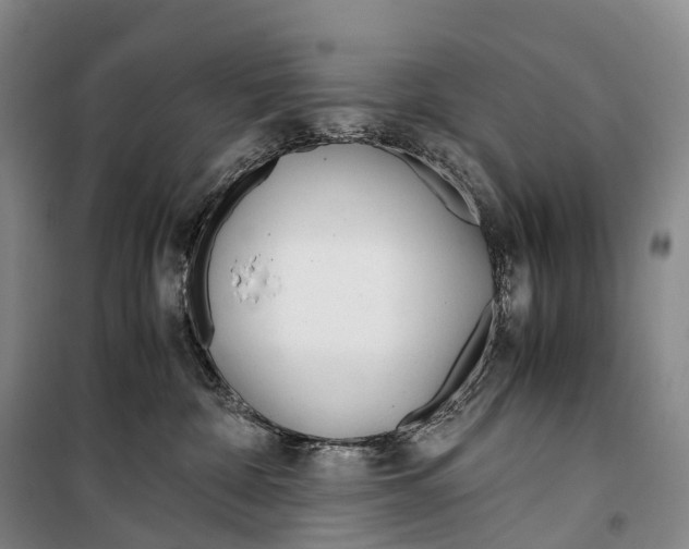 X0000099400332200806051213