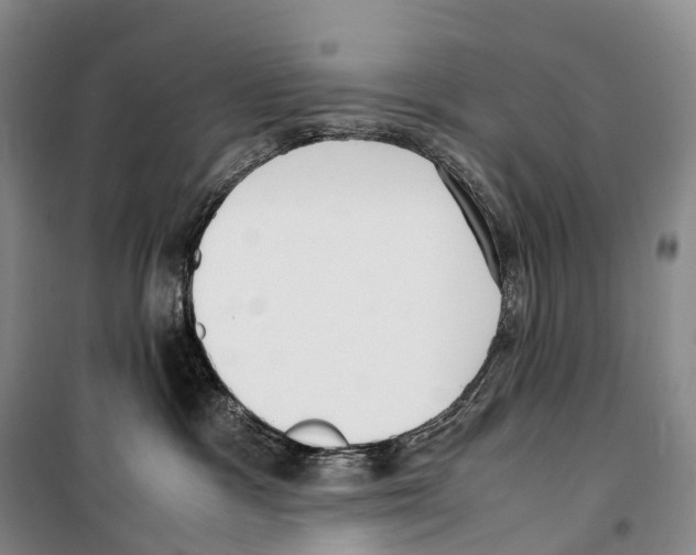 X0000099400333200806051213