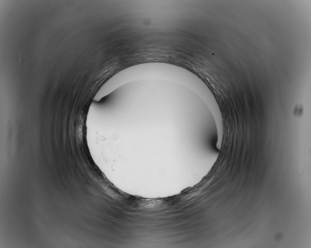 X0000099400334200806051213