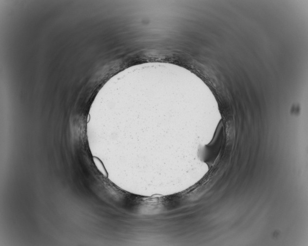 X0000099400335200806051213