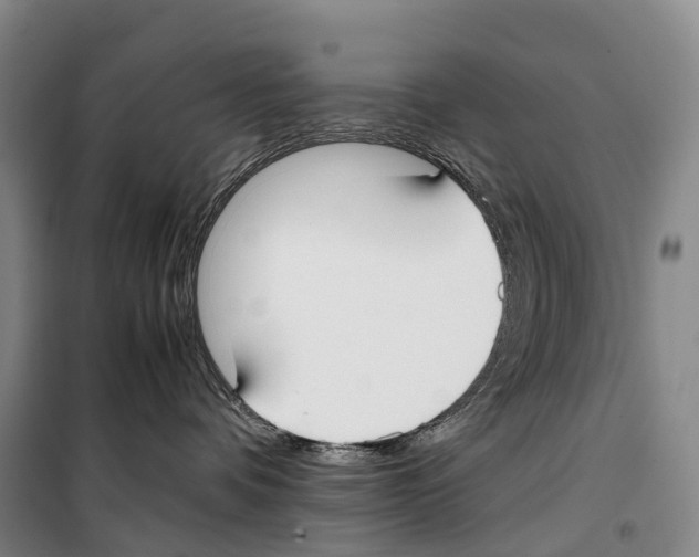 X0000099400336200806051213