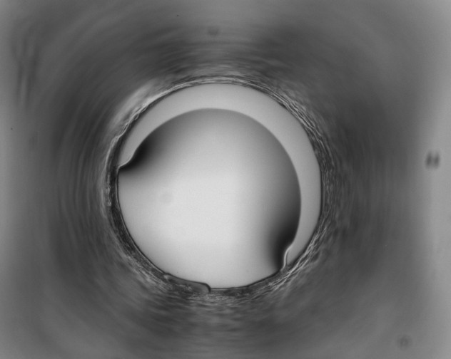 X0000099400339200806051212