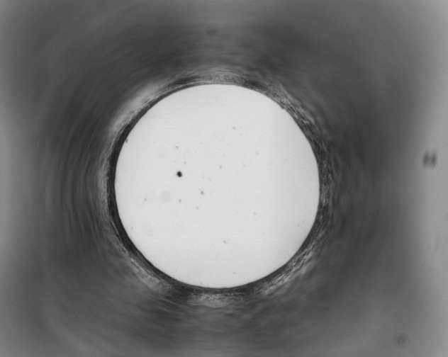 X0000099400341200806051212