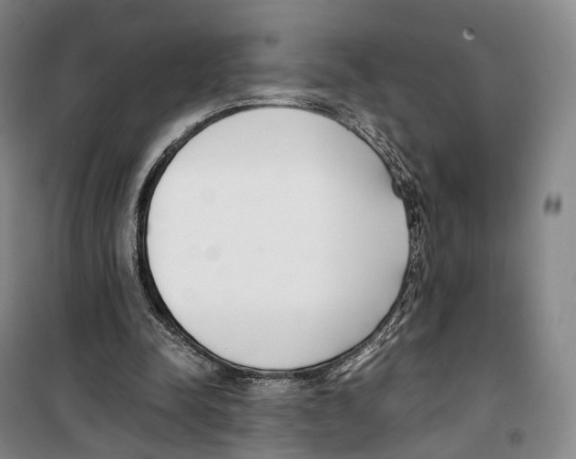 X0000099400342200806051213