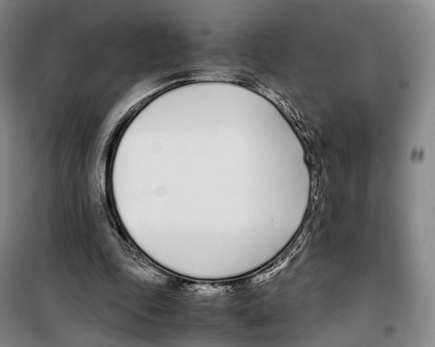 X0000099400343200806051213