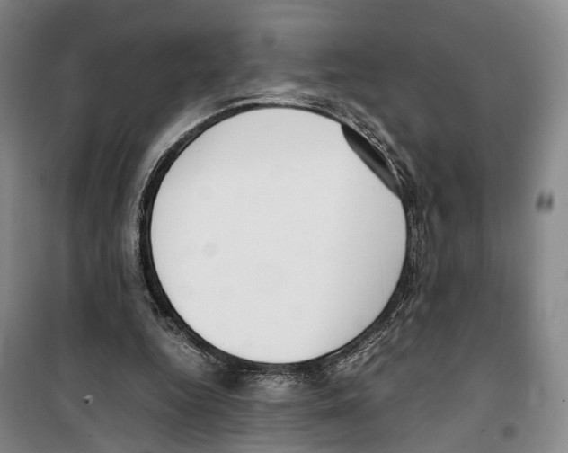 X0000099400344200806051213