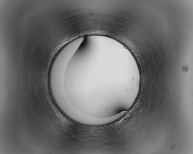 X0000099400345200806051213