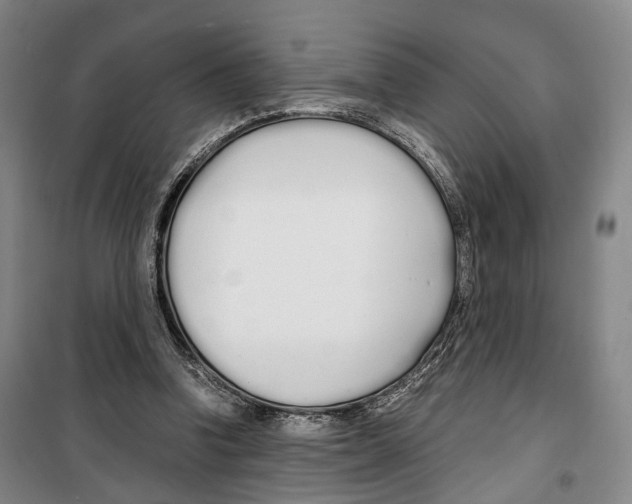 X0000099400346200806051213