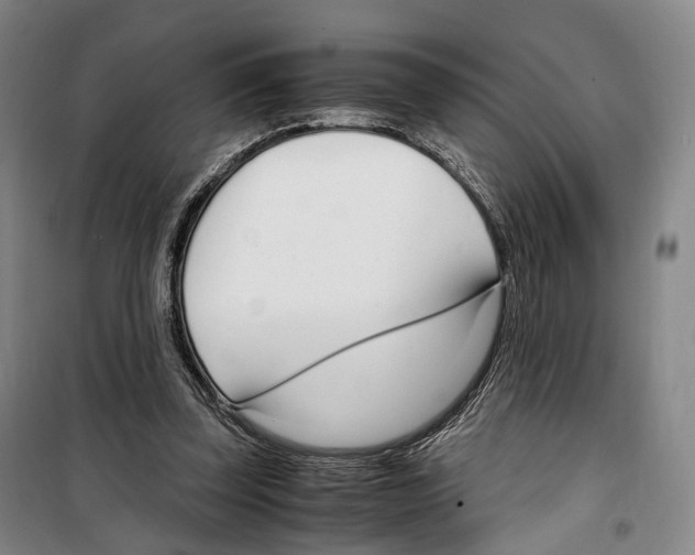 X0000099400347200806051213
