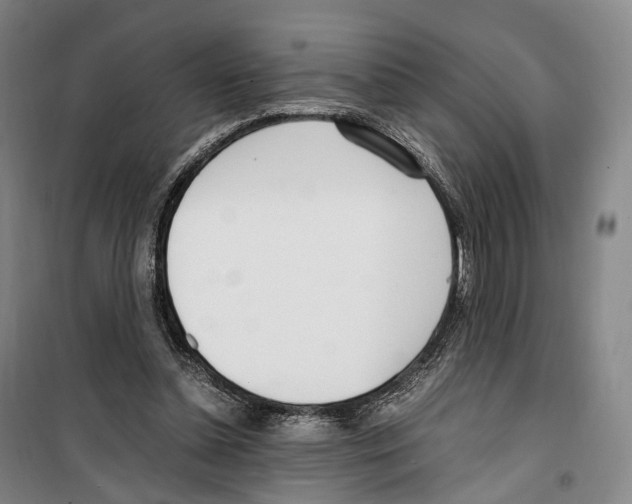 X0000099400348200806051213