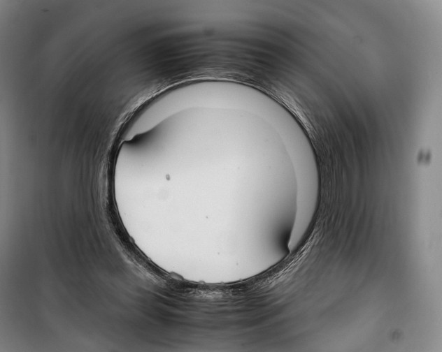 X0000099400349200806051213