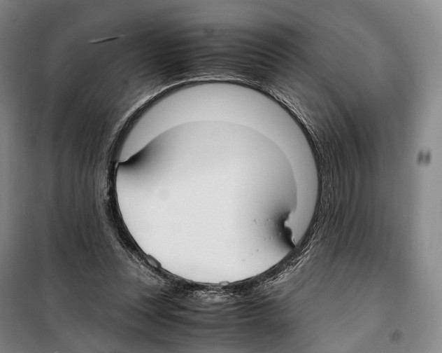X0000099400351200806051213