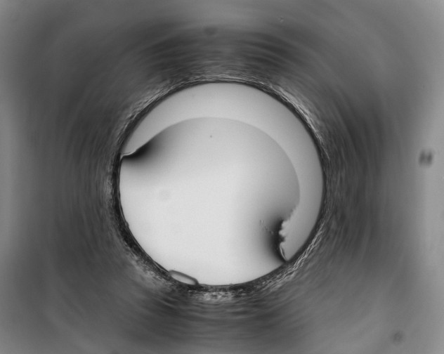 X0000099400353200806051213