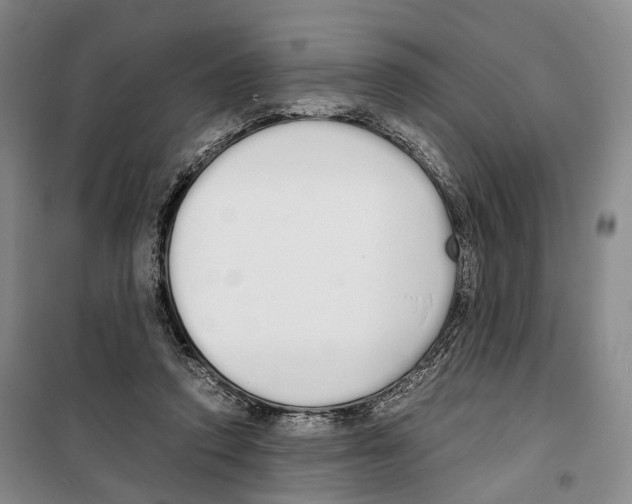 X0000099400354200806051213