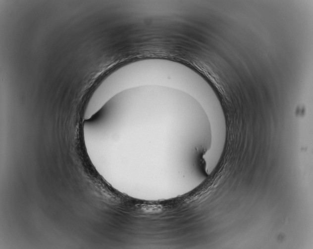 X0000099400355200806051213