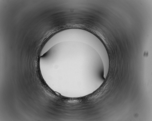 X0000099400357200806051213