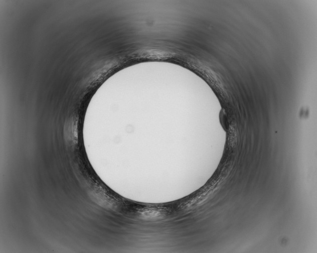 X0000099400358200806051213