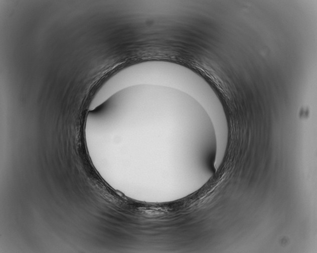 X0000099400359200806051213