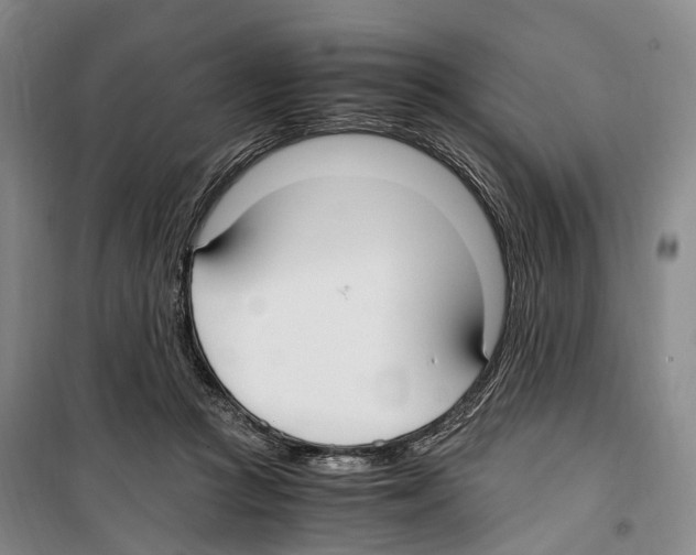 X0000099400361200806051213