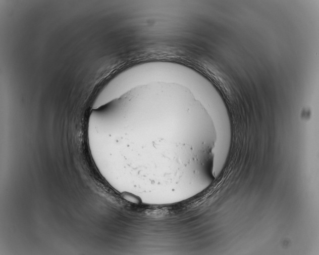 X0000099400362200806051213