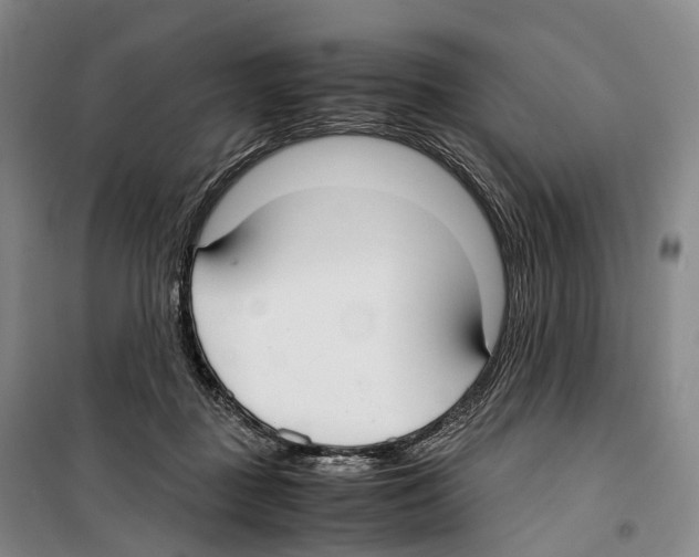 X0000099400363200806051213