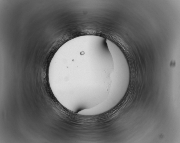X0000099400365200806051213