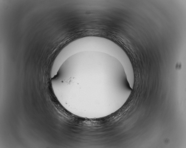 X0000099400367200806051213