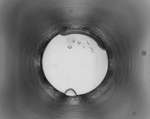 X0000099400368200806051213
