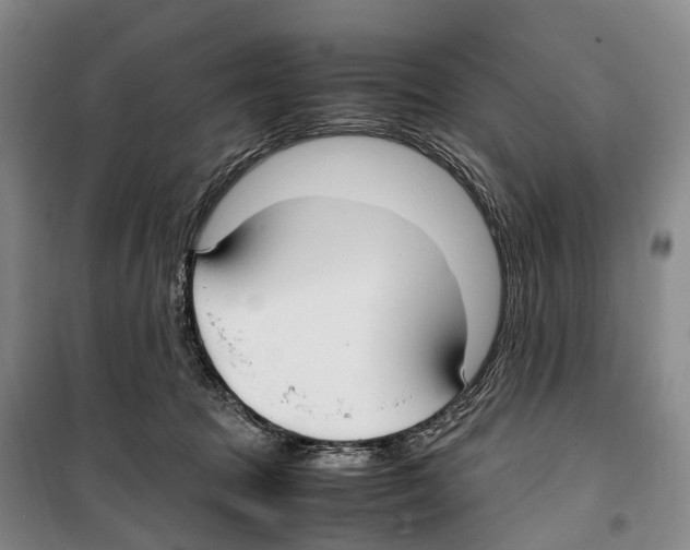 X0000099400369200806051213