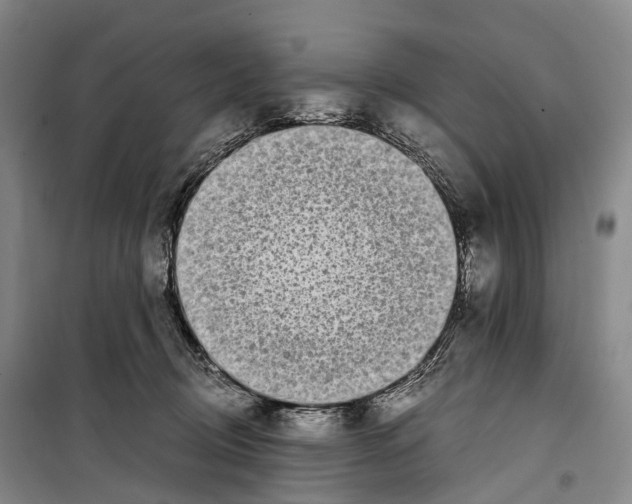 X0000099400370200806051213