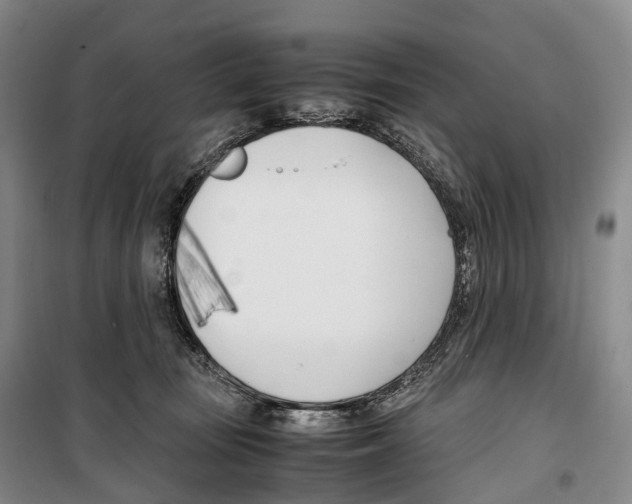 X0000099400371200806051213