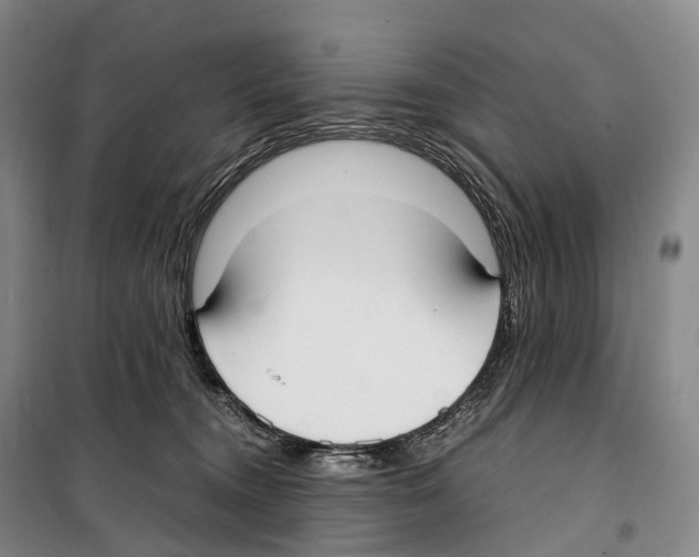 X0000099400372200806051213
