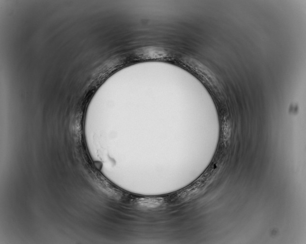 X0000099400373200806051213