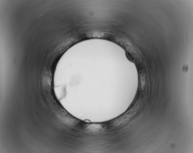 X0000099400374200806051213