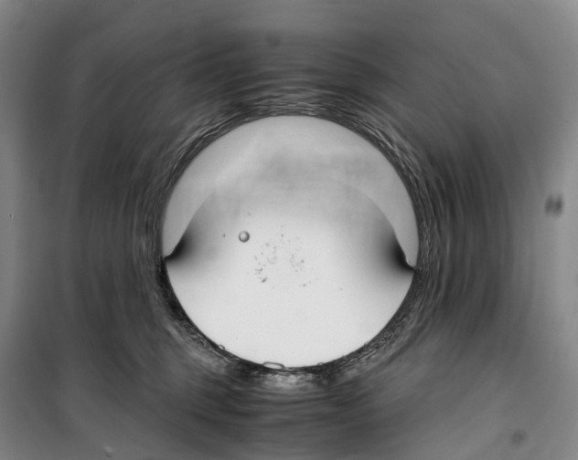 X0000099400375200806051213