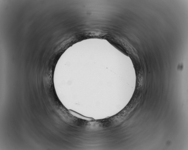 X0000099400376200806051213