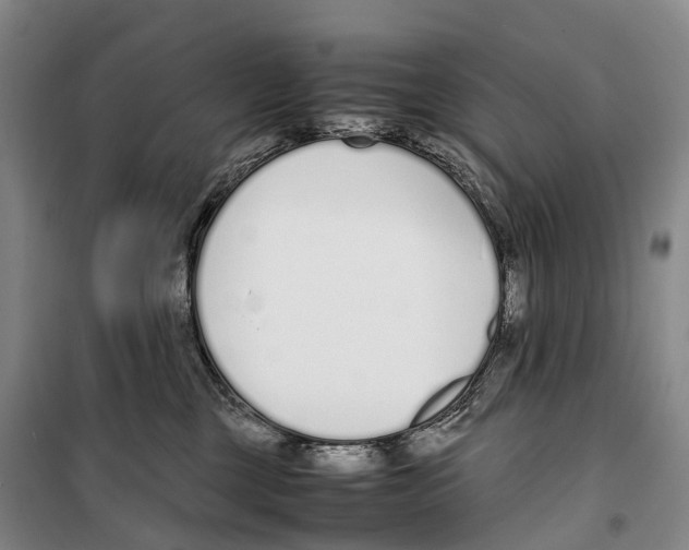 X0000099400377200806051213