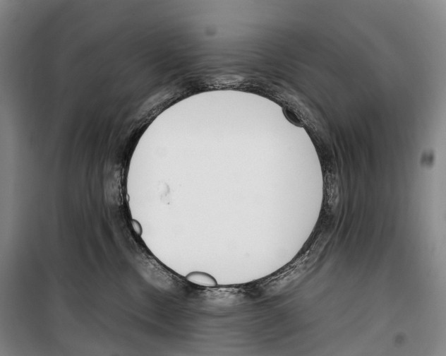 X0000099400378200806051213