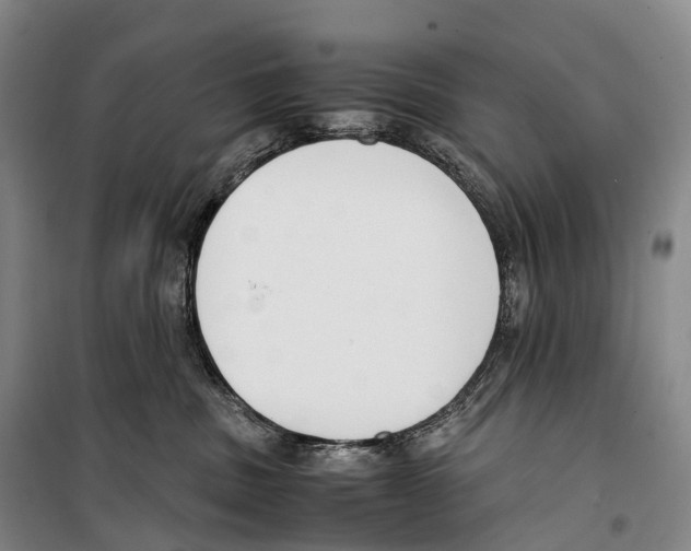 X0000099400379200806051213