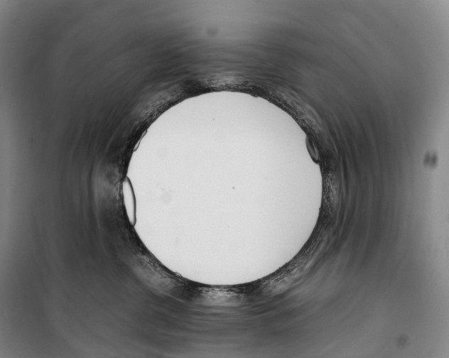 X0000099400380200806051213