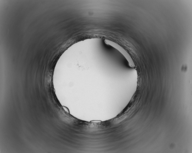 X0000099400382200806051213