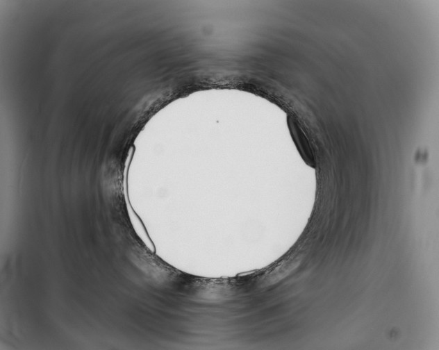 X0000099400384200806051213
