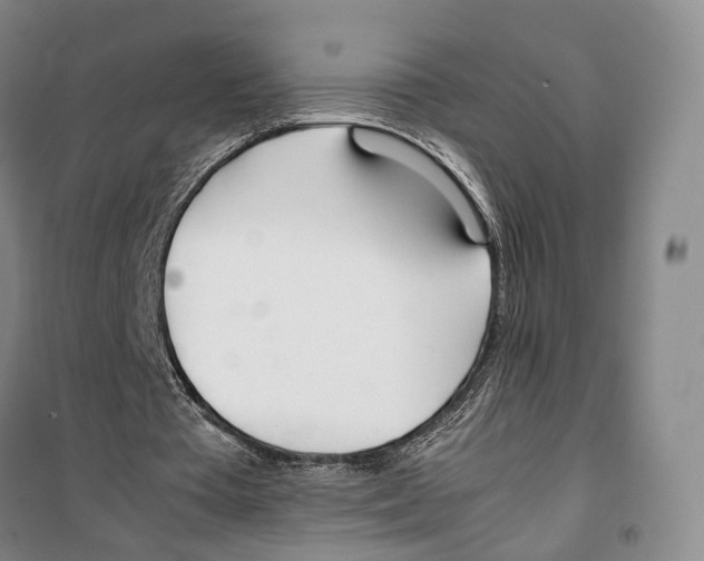 X0000099400385200806051212