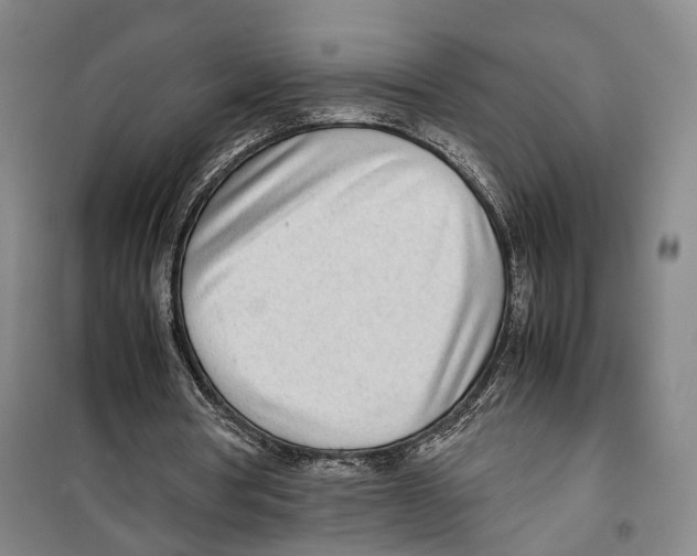 X0000099400386200806051212