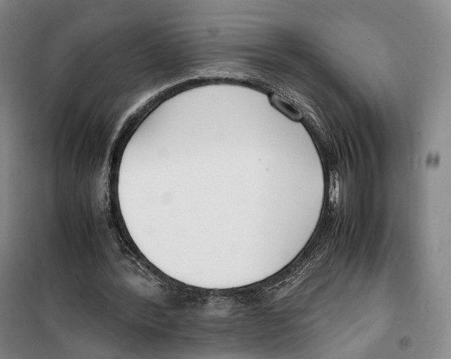 X0000099400388200806051212