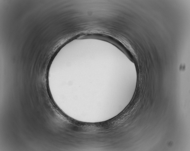 X0000099400389200806051212
