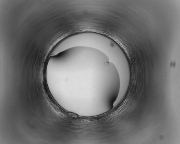 X0000099400390200806051212
