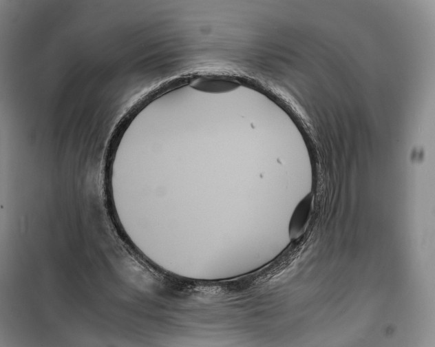X0000099400391200806051212