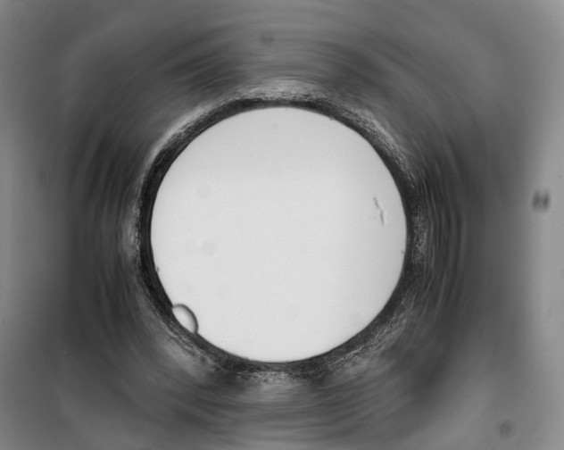 X0000099400392200806051212