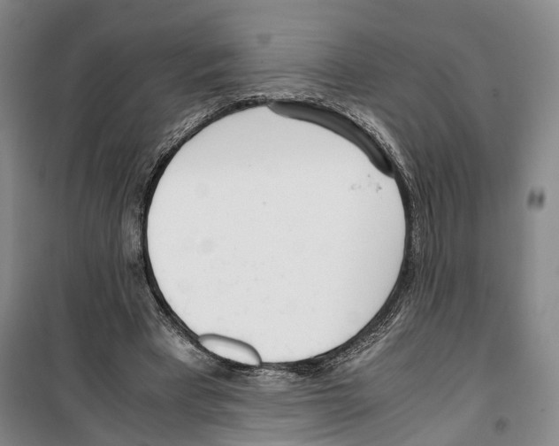 X0000099400393200806051212